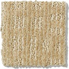 Shaw Floors Nfa/Apg Instant Impact Field Stone 52507_00105