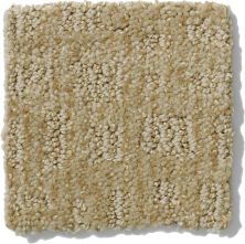 Shaw Floors Nfa/Apg Instant Impact Wool Skein 52507_00111