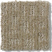 Shaw Floors Nfa/Apg Instant Impact Gray Flannel 52507_00511
