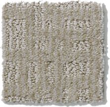Shaw Floors Nfa/Apg Instant Impact Sea Salt 52507_00512