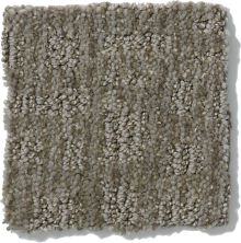 Shaw Floors Nfa/Apg Instant Impact Pewter 52507_00513