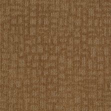 Shaw Floors Nfa/Apg Effortless Grace Leather Bound 00702_NA270