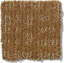 Shaw Floors Nfa/Apg Instant Impact Leather Bound 52507_00702
