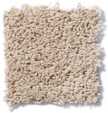 Shaw Floors Nfa/Apg Leading Legacy New Pastry 52V25_00105