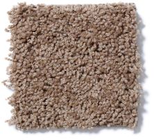 Shaw Floors Nfa/Apg Leading Legacy Barn Wood 52V25_00700