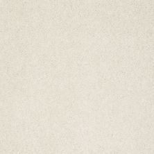 Shaw Floors Nfa/Apg Graceful Texture Cool Breeze