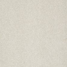 Shaw Floors Nfa/Apg Graceful Texture Vienna Sights