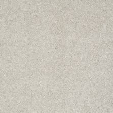 Shaw Floors Nfa/Apg Graceful Texture Waikiki Sand