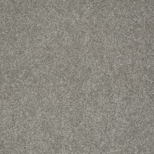 Shaw Floors Nfa/Apg Graceful Texture London