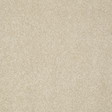 Shaw Floors Nfa/Apg Graceful Texture Travertine