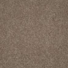 Shaw Floors Nfa/Apg Graceful Texture Iced Coffee