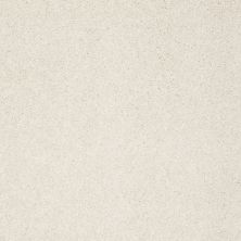 Shaw Floors Nfa/Apg Elegant Texture Pearl Glaze