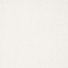 Shaw Floors Nfa/Apg Elegant Texture Snow Cap