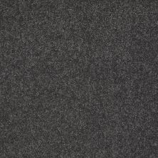 Shaw Floors Nfa/Apg Elegant Texture Victoria Falls