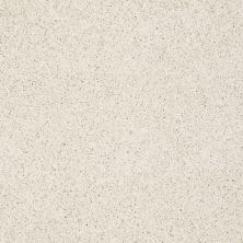 Shaw Floors Nfa/Apg Graceful Twist Cool Breeze