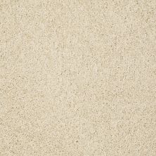 Shaw Floors Nfa/Apg Graceful Twist Chenille Soft