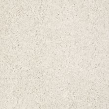 Shaw Floors Nfa/Apg Graceful Twist Pearl Glaze