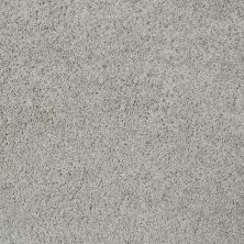 Shaw Floors Nfa/Apg Graceful Twist Putty