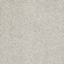 Shaw Floors Nfa/Apg Graceful Twist Vienna Sights