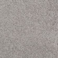 Shaw Floors Nfa/Apg Graceful Twist When In Rome