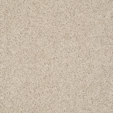 Shaw Floors Nfa/Apg Graceful Twist Natural Wood