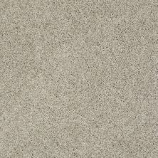 Shaw Floors Nfa/Apg Graceful Twist Warm Oatmeal