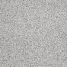 Shaw Floors Nfa/Apg Graceful Texture Tonal Glacier Caves Texture