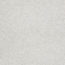 Shaw Floors Nfa/Apg Elegant Texture Tonal Aspen Texture