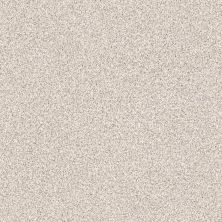 Shaw Floors Nfa/Apg Elegant Texture Tonal Casa Blanca