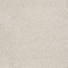 Shaw Floors Nfa/Apg Elegant Texture Tonal Denali Texture