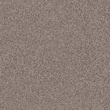 Shaw Floors Nfa/Apg Elegant Texture Tonal Landmark