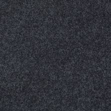 Shaw Floors Nfa/Apg Detailed Elegance II Indigo 00451_NA333