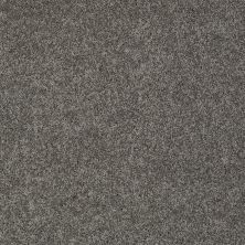 Shaw Floors Nfa/Apg Detailed Elegance II Graphite 00754_NA333