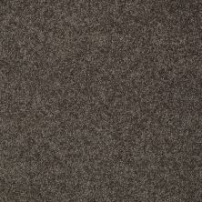 Shaw Floors Nfa/Apg Detailed Elegance II Chocolate 00758_NA333