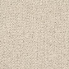 Shaw Floors Nfa/Apg Detailed Statement Loop French Linen 00103_NA339