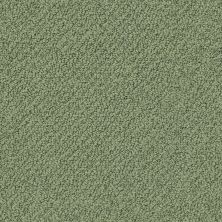 Shaw Floors Nfa/Apg Detailed Statement Loop Bay Laurel 00351_NA339