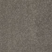 Shaw Floors Nfa/Apg Detailed Elegance I Rustic Elegance 00752_NA341