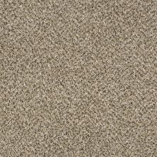 Shaw Floors Nfa Breaking Rules III 12 Sea Shell 00100_NA445