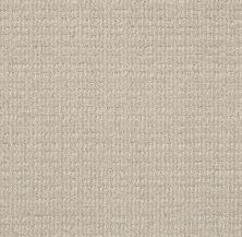 Shaw Floors Nfa Common Ground Studio Taupe 00173_NA450
