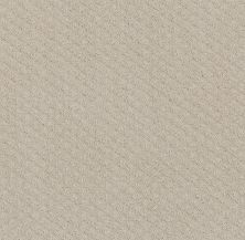 Shaw Floors Nfa Final Thought Washed Linen 00103_NA451