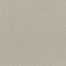 Shaw Floors Nfa Mod Beauty Winters Dawn 00102_NA455