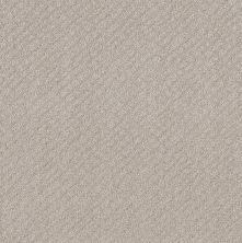 Shaw Floors Nfa Mod Beauty Split Sediment 00104_NA455