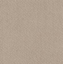 Shaw Floors Nfa Mod Beauty Butter Cream 00107_NA455