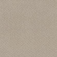 Shaw Floors Nfa Mod Beauty Fossil Path 00108_NA455