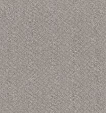 Shaw Floors Nfa Mod Beauty Silver Lining 00500_NA455