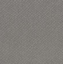Shaw Floors Nfa Mod Beauty Grey Fox 00504_NA455