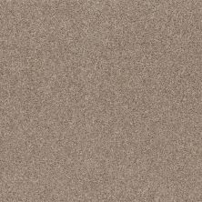 Shaw Floors Pet Perfect Plus Calm Embrace I Beige Bisque 00110_NA458