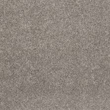 Shaw Floors Pet Perfect Plus Simple Charm II Washed Linen 00113_NA461