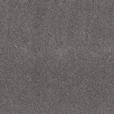 Shaw Floors Pet Perfect Plus Simple Charm II Silver Lining 00510_NA461