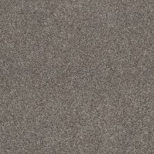 Shaw Floors Pet Perfect Plus Simple Charm II Newstone Haven 00512_NA461